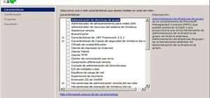caracteristicas de windows server 2008